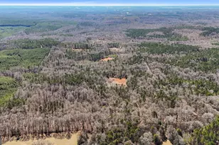 223 8 Point Rd, Butler, GA 31006 - Photo 59