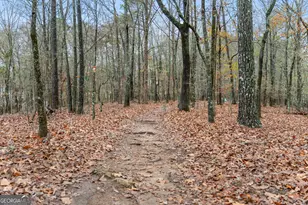 833 Southern Shore Dr, Peachtree City, GA 30269 - Photo 91