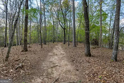 833 Southern Shore Drive, Peachtree City, GA 30269 - Photo 95