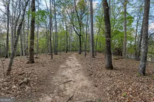 833 Southern Shore Dr, Peachtree City, GA 30269 - Photo 95