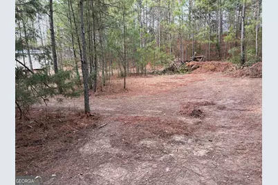 1936 Tanglewood Drive, Elberton, GA 30635 - Photo 29