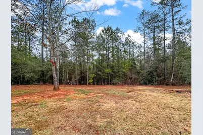 75 Natures Trail, Covington, GA 30016 - Photo 17