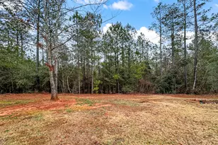 75 Natures Trail, Covington, GA 30016 - Photo 17