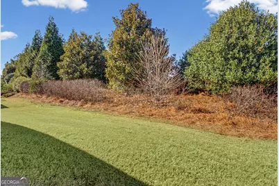 121 Plumleaf Ct., Griffin, GA 30223 - Photo 33