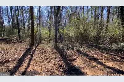 0 Hillcrest Avenue, Elberton, GA 30635 - Photo 11