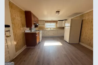 10372 Hwy 106, Carnesville, GA 30521 - Photo 9