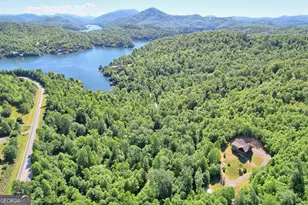 4979 Hwy 197, Clarkesville, GA 30523 - Photo 53