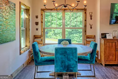 4979 Highway 197, Clarkesville, GA 30523 - Photo 13