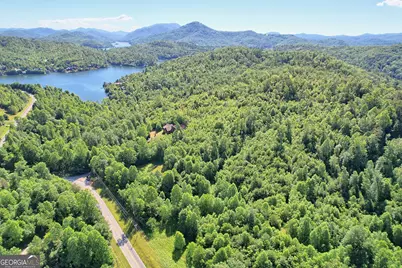 4979 Highway 197, Clarkesville, GA 30523 - Photo 51