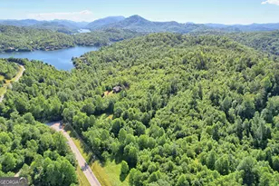 4979 Hwy 197, Clarkesville, GA 30523 - Photo 51