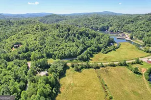 4979 Hwy 197, Clarkesville, GA 30523 - Photo 55