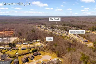 446 Flat Creek Dr, Dawsonville, GA 30534 - Photo 49