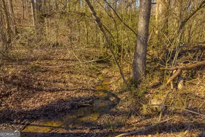 446 Flat Creek Drive, Dawsonville, GA 30534 - Photo 11