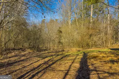 446 Flat Creek Drive, Dawsonville, GA 30534 - Photo 13