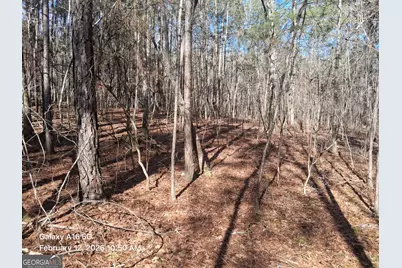 887 Allen, Grantville, GA 30222 - Photo 7