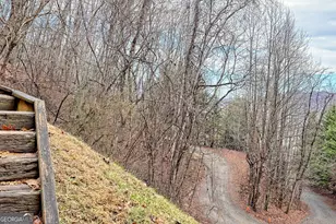 162 Eagles View Valley, Hayesville, NC 28904 - Photo 9