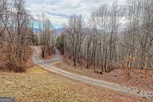 162 Eagles View Valley, Hayesville, NC 28904 - Photo 47