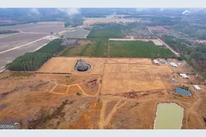 Tbd Trudie Road, Blackshear, GA 31516 - Photo 13