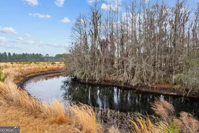 Tbd Trudie Road, Blackshear, GA 31516 - Photo 29