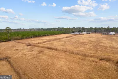 Tbd Trudie Road, Blackshear, GA 31516 - Photo 15