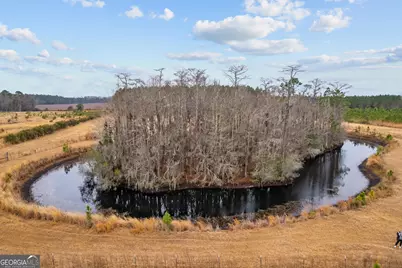 Tbd Trudie Road, Blackshear, GA 31516 - Photo 31