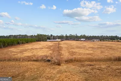 Tbd Trudie Road, Blackshear, GA 31516 - Photo 17