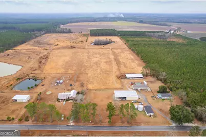 Tbd Trudie Road, Blackshear, GA 31516 - Photo 9