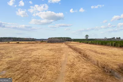 Tbd Trudie Road, Blackshear, GA 31516 - Photo 21