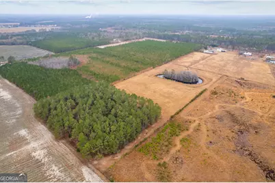 Tbd Trudie Road, Blackshear, GA 31516 - Photo 5