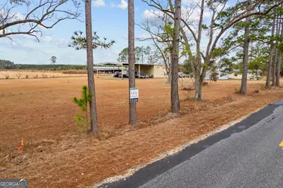 Tbd Trudie Road, Blackshear, GA 31516 - Photo 27