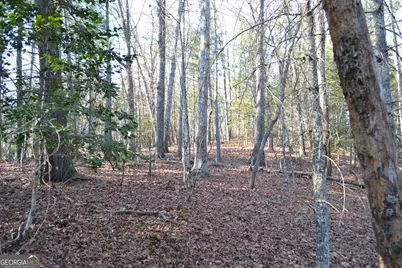 0 Mill Creek Trail, Cleveland, GA 30528 - Photo 5