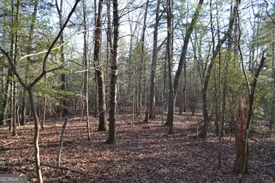 0 Mill Creek Trail, Cleveland, GA 30528 - Photo 9