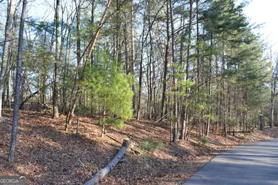 0 Mill Creek Trail, Cleveland, GA 30528 - Photo 11