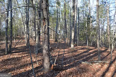 0 Mill Creek Trail, Cleveland, GA 30528 - Photo 3