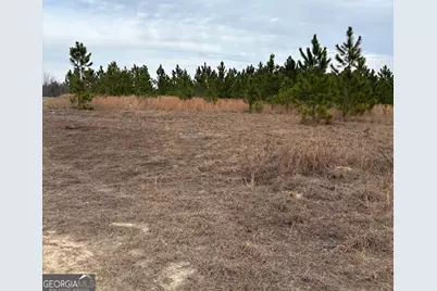 0 Oakridge Church Road, Tifton, GA 31794 - Photo 3