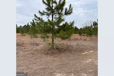 0 Oakridge Church Road, Tifton, GA 31794 - Photo 1