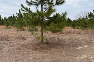 0 Oakridge Church Rd, Tifton, GA 31794 - Photo 1