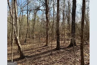 0 Neely Road, Sharpsburg, GA 30277 - Photo 5