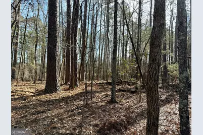 0 Neely Road, Sharpsburg, GA 30277 - Photo 7