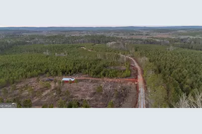 723 Brown Creek Road, Shiloh, GA 31826 - Photo 13