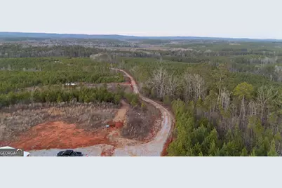 723 Brown Creek Road, Shiloh, GA 31826 - Photo 7