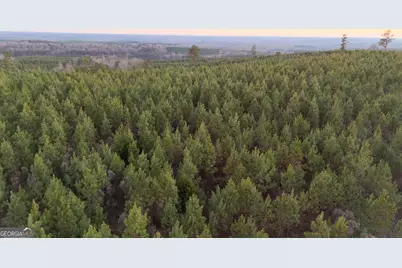 723 Brown Creek Road, Shiloh, GA 31826 - Photo 1