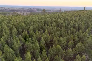 723 Brown Creek Rd, Shiloh, GA 31826 - Photo 1