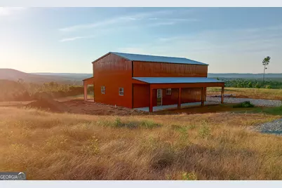 723 Brown Creek Road, Shiloh, GA 31826 - Photo 11