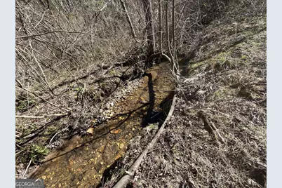 513 Trackrock Gap Road, Blairsville, GA 30512 - Photo 11