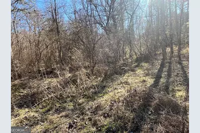 513 Trackrock Gap Road, Blairsville, GA 30512 - Photo 17