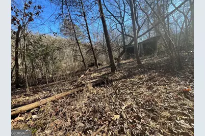 513 Trackrock Gap Road, Blairsville, GA 30512 - Photo 7