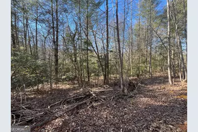 513 Trackrock Gap Road, Blairsville, GA 30512 - Photo 15