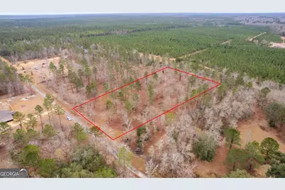 Tract 1 Loggan Lane, Jesup, GA 31546 - Photo 3