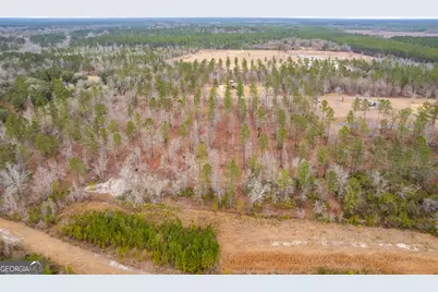 Tract 1 Loggan Lane, Jesup, GA 31546 - Photo 9